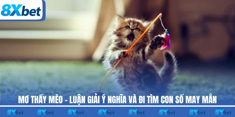 Mơ thấy mèo 8xbet mang nhiều ý nghĩa khác nhau về tâm linh